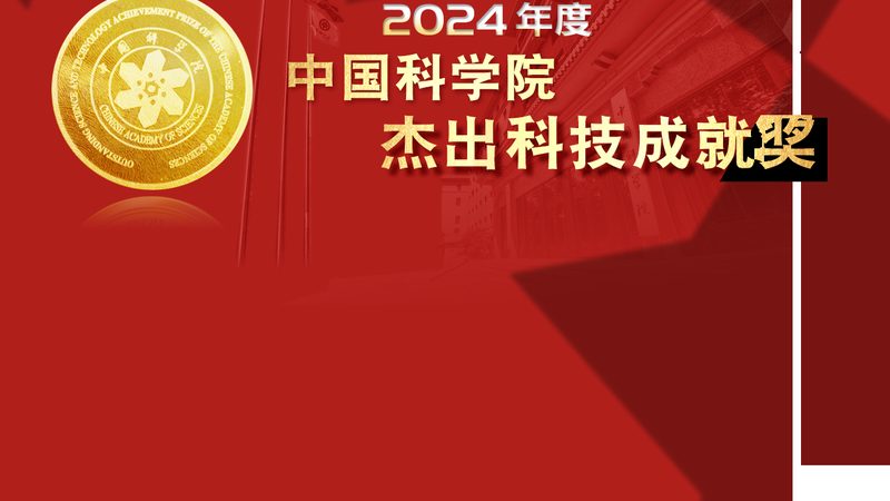 功能测试与自动化测试：本质差异与实际应用