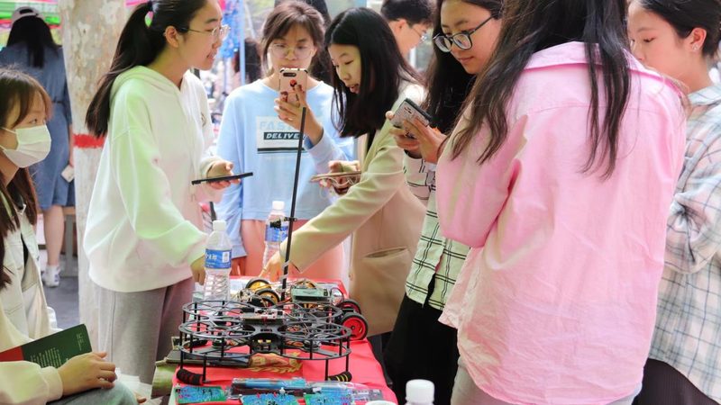 云服务器与物理机：性价比的深度解析
