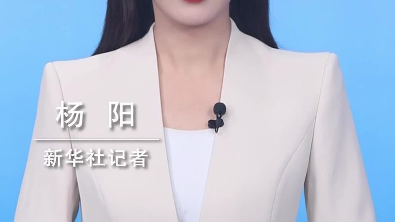 数据治理生命周期管理流程：构建高效数据管理的基石**